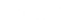 Aluser