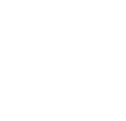 Burberry Cyprus