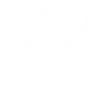 A Para