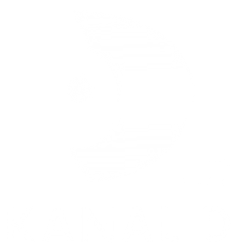Kanal D
